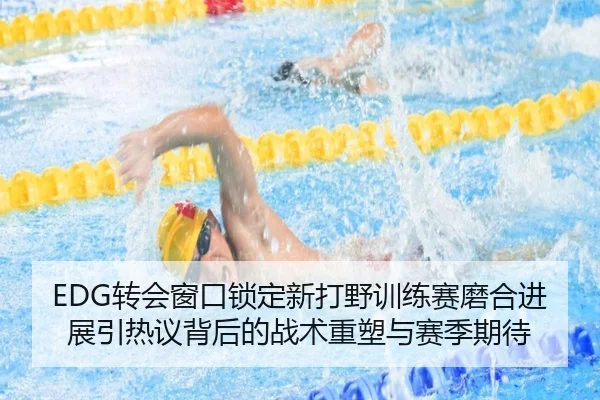 EDG转会窗口锁定新打野训练赛磨合进展引热议背后的战术重塑与赛季期待